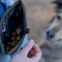 Trendpet – Snaxx beloningstasje